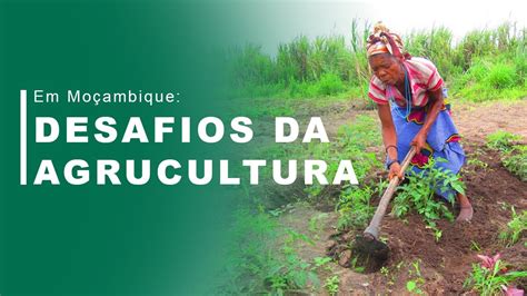 evolução da agricultura em moçambique pdf